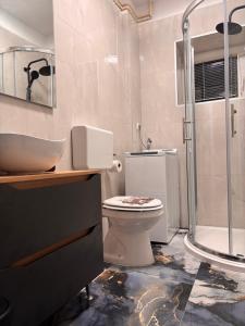 een badkamer met toilet en douche bij Apartment Sanja in Senj +62 foto's