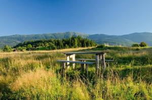 a bench sitting in the middle of a field at Osada Beskidzka in Zawoja