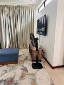 a living room with a couch and a chair and a television at Rhino Luxurious Apartments in Lusaka