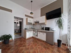 Kuchyň nebo kuchyňský kout v ubytování Rakoczi apartman 2