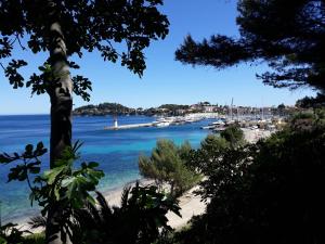 a view of a beach with boats in the water at Beauty in Saint-Jean-Cap-Ferrat +22 photos