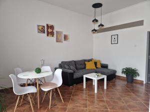 Posezení v ubytování Rakoczi apartman 2 + 17 fotografií