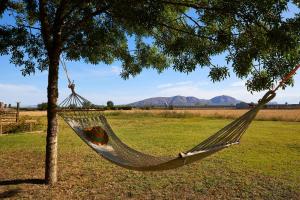 a hammock hanging from a tree in a field at Can Pujol - Casitas de Turismo Rural en el Baix Empordà in Serra de Daró +20 photos