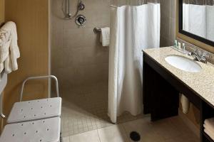 Comfort Inn & Suites Frisco East - McKinney的一间浴室