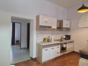 Kuchyň nebo kuchyňský kout v ubytování Rákóczi apartman