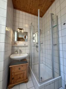 a bathroom with a shower and a sink at Ferienhaus Löwenherz in Pommern