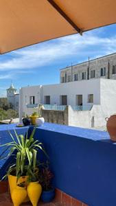 a blue wall with potted plants on top of a building at Nomads Hostel Tunisia in Tunis