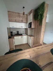 A cozinha ou kitchenette de Apartmani Planina Divčibare
