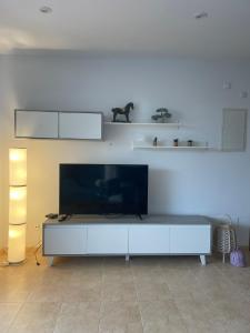 TV a/nebo společenská místnost v ubytování Vaumera E