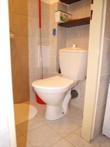プラハにあるAttic Apartment City Centerのバスルーム(白いトイレ付)が備わります。