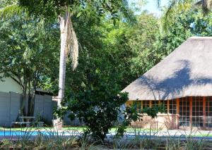 a house with a thatched roof and a palm tree at Luxury Heights Bed and Breakfast in Newcastle