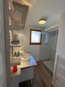 a bathroom with a sink and a shower at T2 meublé 42m2 avec terasse in Le Monastère