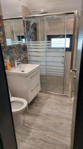 Un baño con ducha, inodoro y lavabo. en Green Kub, en Slănic-Moldova