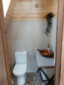 y baño con aseo y lavabo de madera. en Green Kub, en Slănic-Moldova 9 fotos más