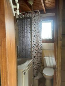 a bathroom with a toilet and a sink at Le Chamois in Le Tartre