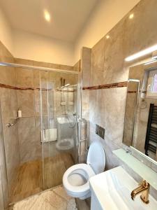 a bathroom with a toilet and a shower and a sink at Apartmány Princ Děčín in Děčín +39 photos