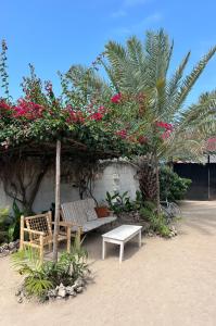 ジャンビアニにあるVilla Ivy Jambiani Zanzibarの花の飾られた浜辺のベンチとテーブル