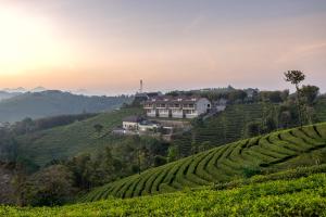 Landskap semula jadi dekat dengan resort