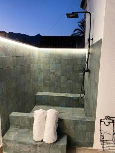 y baño con ducha y 2 toallas. en Casa Principe Old Town Marbella by PRINCIPE1, en Marbella