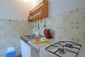 Kuchyň nebo kuchyňský kout v ubytování Apartment and Rooms Danica
