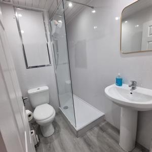 a bathroom with a shower and a toilet and a sink at Carrick - One Bed Apartment in Largs