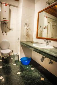 a bathroom with a toilet and a sink and a mirror at Nalagarh House by EdenHomes in Manāli +15 photos