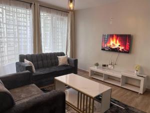 a living room with a couch and a fireplace at Treands Apartments in Nakuru