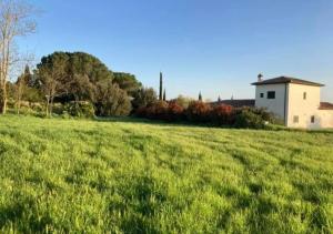 a field of green grass with a house in the background at Maremma Design in Manciano