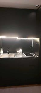 Kuchyň nebo kuchyňský kout v ubytování Mini hus