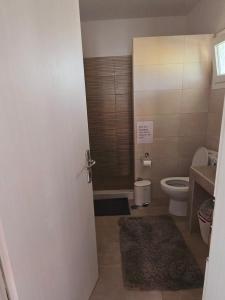 a bathroom with a toilet and a sink at Apartment sofia sea view in Nea Vrasna +21 photos