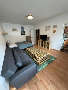 a living room with a blue couch and a television at Kutuzovova Apartment Free Parking in Koliba