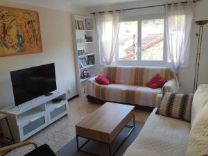 a living room with a couch and a tv at ISHTa in Vernet-les-Bains