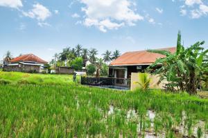 BlahbatuにあるMarvella Villa - Rare Finding near Ubud Centerの草原中の家