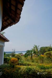 Galeriebild der Unterkunft Bugesera Lake Resort in Karizinge + 52 Fotos