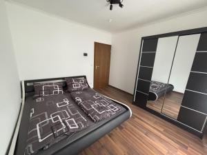 a bedroom with a large bed and a mirror at Ferienwohnung HUGO in Penzberg