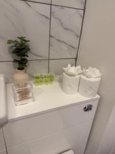 a bathroom with a shelf with three glass jars and a plant at 1 Bed Flat - Sleeps 3 - Parking - Pet friendly in South Shields