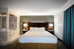 Postel nebo postele na pokoji v ubytování Radisson Hotel Cincinnati Riverfront