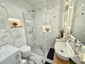 a bathroom with a sink and a toilet and a shower at ISTRIANA by Istrian apartments Koper in Koper