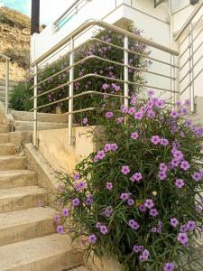 Fotografie z fotogalerie ubytování Avra 1 modern seaview home v destinaci Tsoútsouros