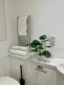 Koupelna v ubytování Redcross studio flat 118