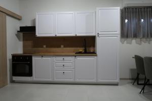 Η κουζίνα ή μικρή κουζίνα στο Kuća za odmor Drava