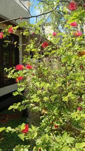 Giardino di Leaf Dew Resort