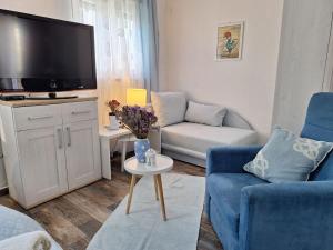 TV a/nebo společenská místnost v ubytování Apartman studio Otium