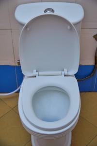 a white toilet with the lid up in a bathroom at KiliCrane Lodge Arusha in Arusha +60 photos