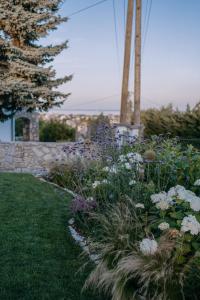 Vonkajšia záhrada v ubytovaní Panorama Vine House + 6 fotografií