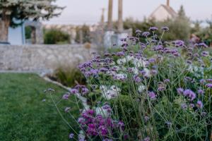 A garden outside Panorama Vine House