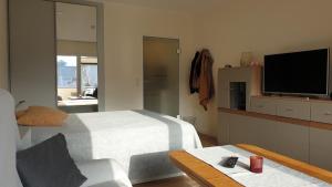 Μια τηλεόραση ή/και κέντρο ψυχαγωγίας στο Appartment Klein