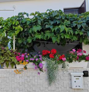 Zahrada ubytování Apartman studio Otium