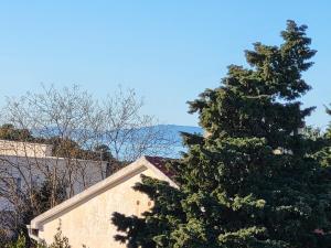 a large pine tree standing next to a building at Apartment Mare D with a pool new in Novalja +23 photos