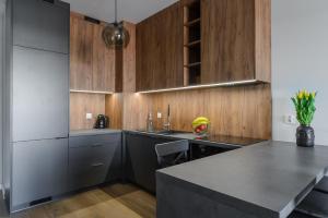 Kuchyňa alebo kuchynka v ubytovaní Lumina premium apartments for a family